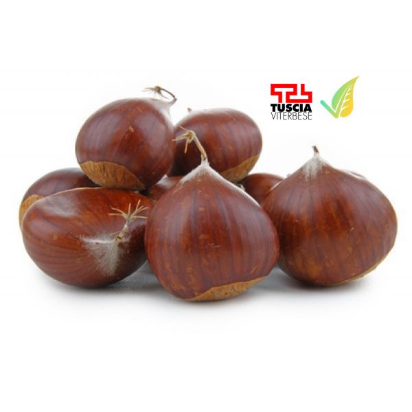 Castagne della Tuscia
