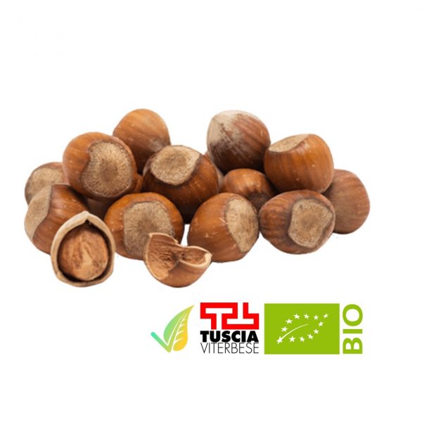 Nocciola Tonda Gentile Romana Sfusa Biologica