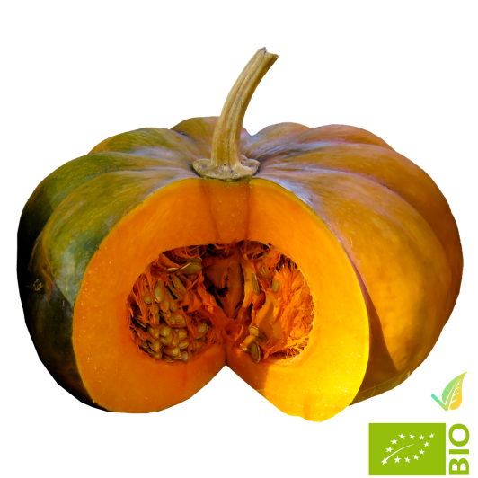 Zucca Mosca Biologica