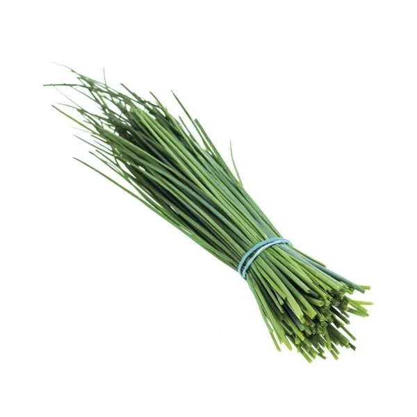 Erba Cipollina Fresca