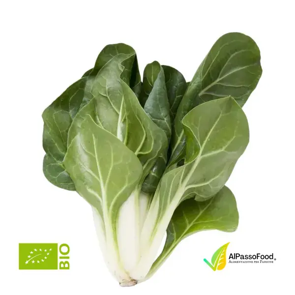 Bieta Verde Pulita Biologica