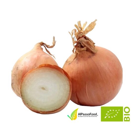 Cipolla Bionda Dorata Biologica