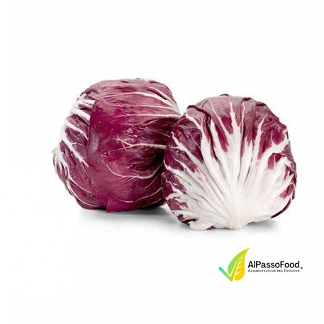 Radicchio Rosso Tondo