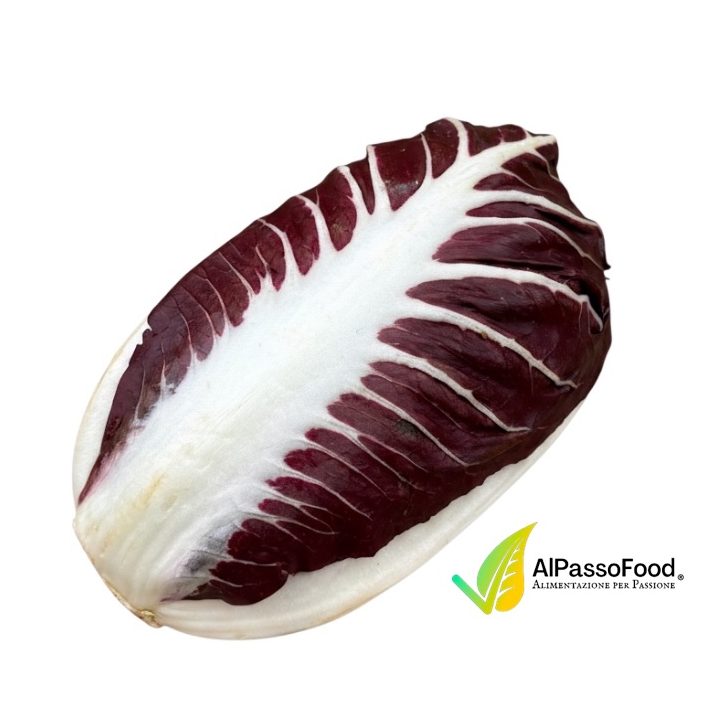 Radicchio Rosso Lungo