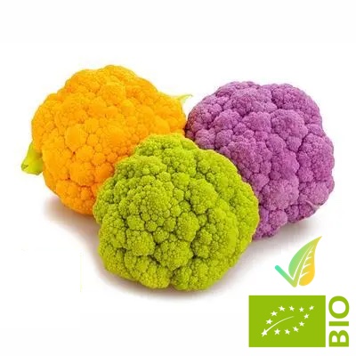 Cavolfiore Colorato Biologico