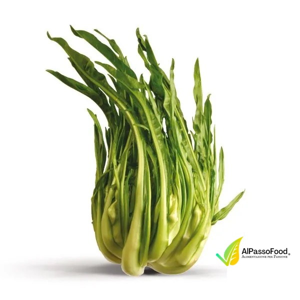 puntarelle