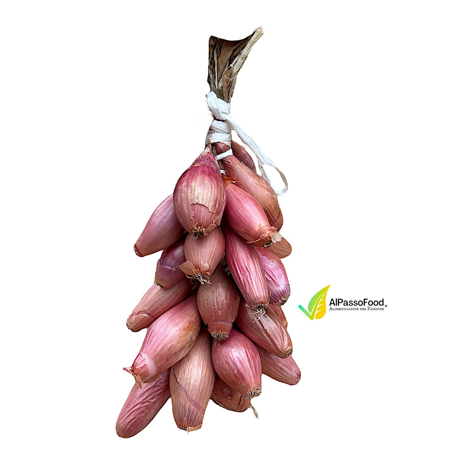 Scalogno di Cannara