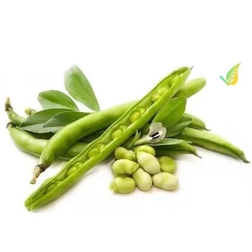 Fave fresche naturali