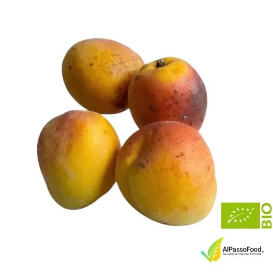 albicocche naturali Biologiche