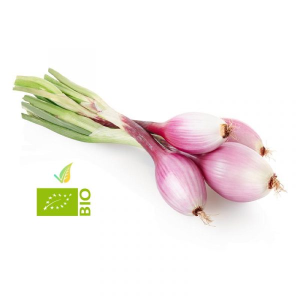 cipollotto di tropea bio