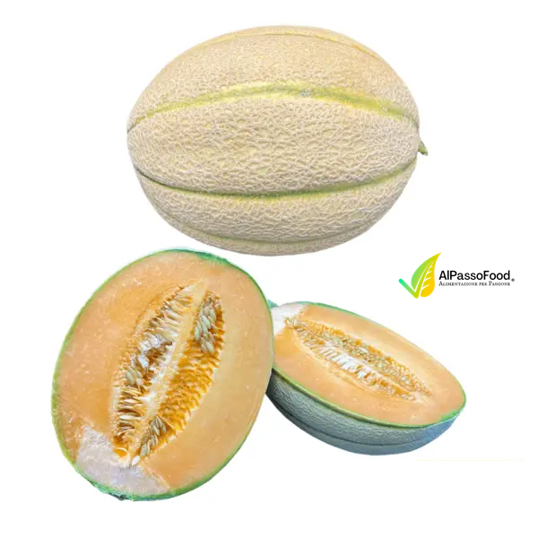 Melone Retato Biologico