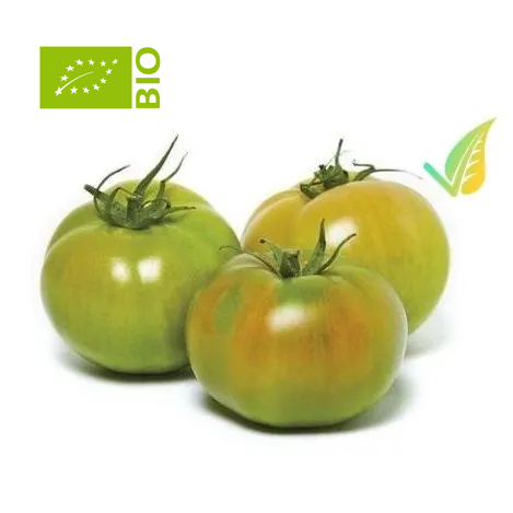 Pomodoro Verdone Biologico