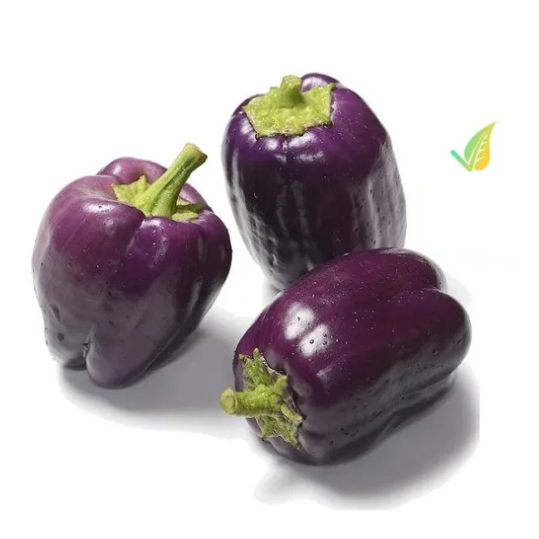 Peperone viola
