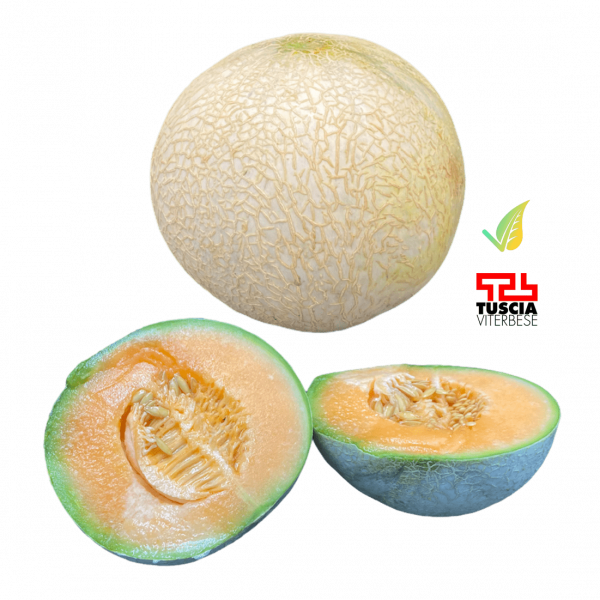 Melone Francesino