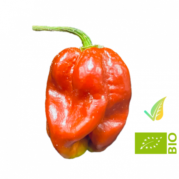 Habanero Rosso
