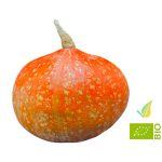 Zucca Hokkaido Biologica 1kg