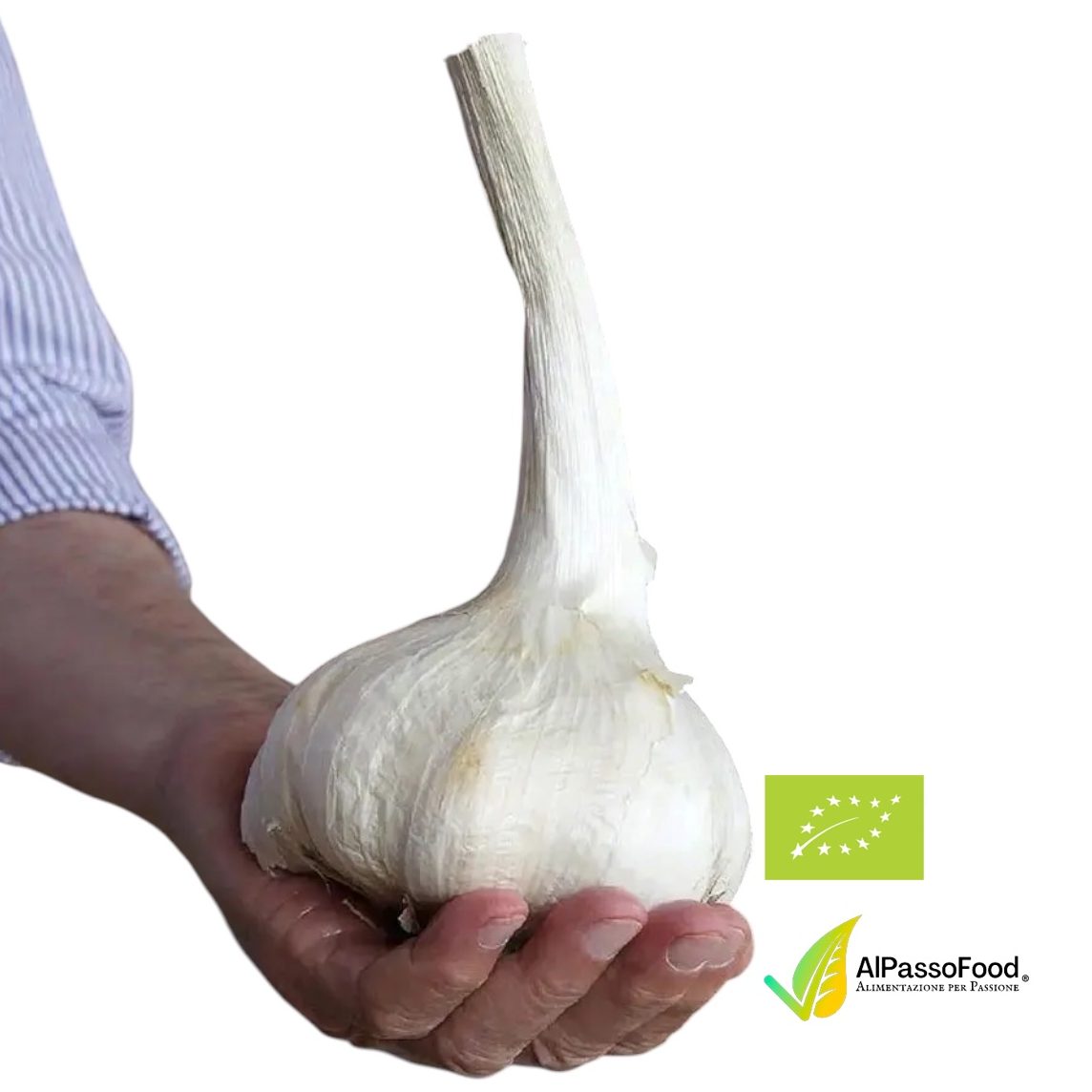 aglione biologico