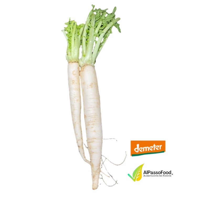 Rapa Rettica Daikon Biodinamica