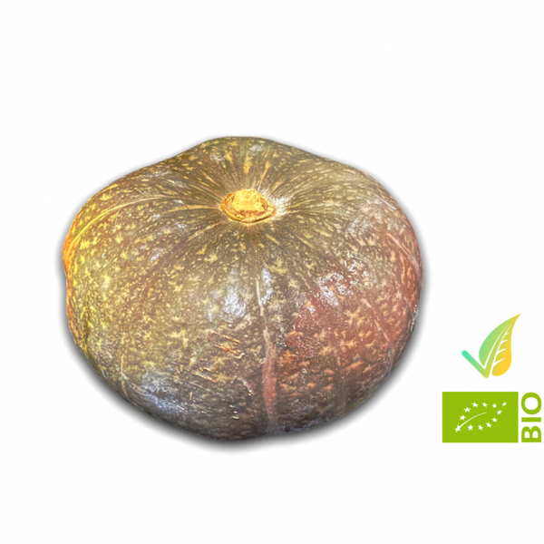 Zucca Mantovana Biologica