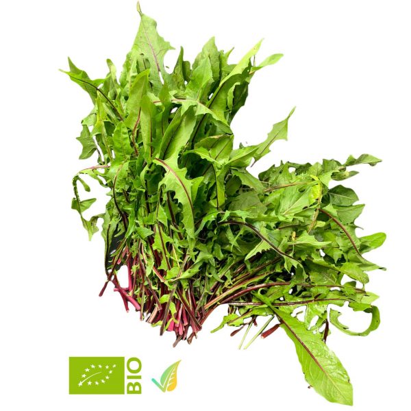 Cicoria Rossa Biologica
