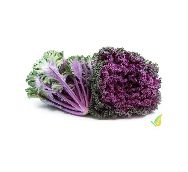 Cavolo Riccio Viola