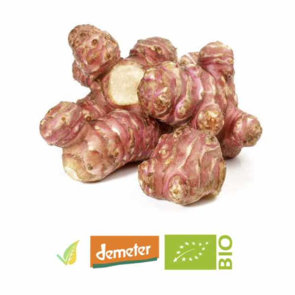 Topinambur Biodinamico