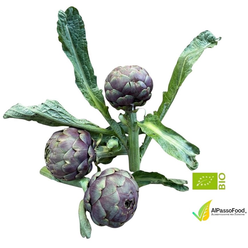 Carciofo Romanesco Laziale Biologico