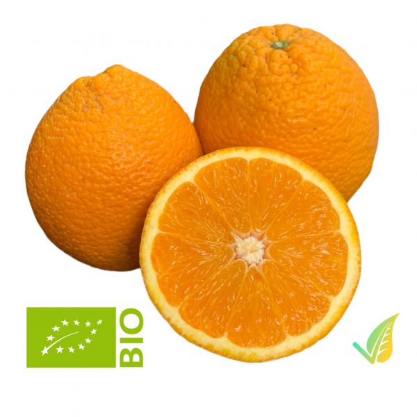 Arance Tarocco Ovale di Sicilia Biologiche