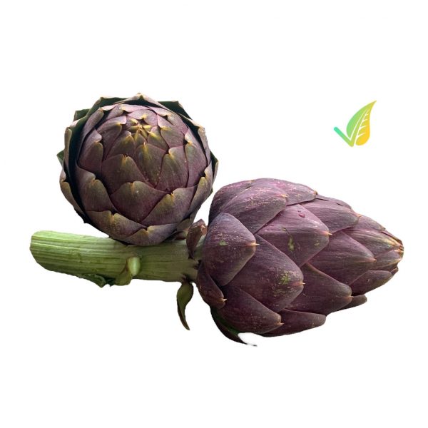 Carciofo Spinoso Sardo