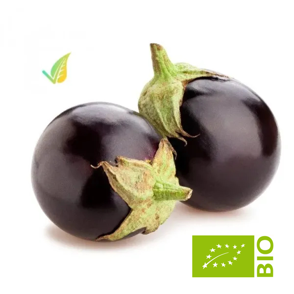 Melanzana tonda biologica