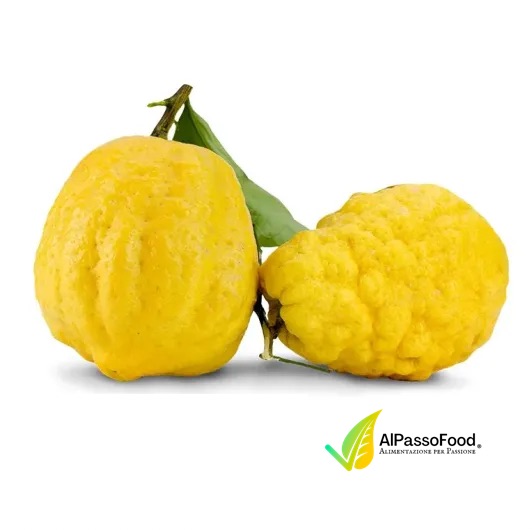 Cedro Costa d'Amalfi I.G.P Biologico