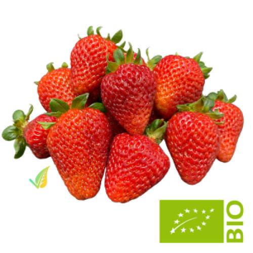 fragole biologiche