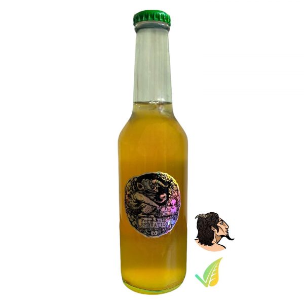 Kombucha Artigianale Limone e Tè nero Bio