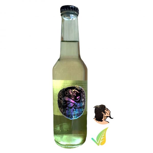 Kombucha Artigianale al Tè Bianco