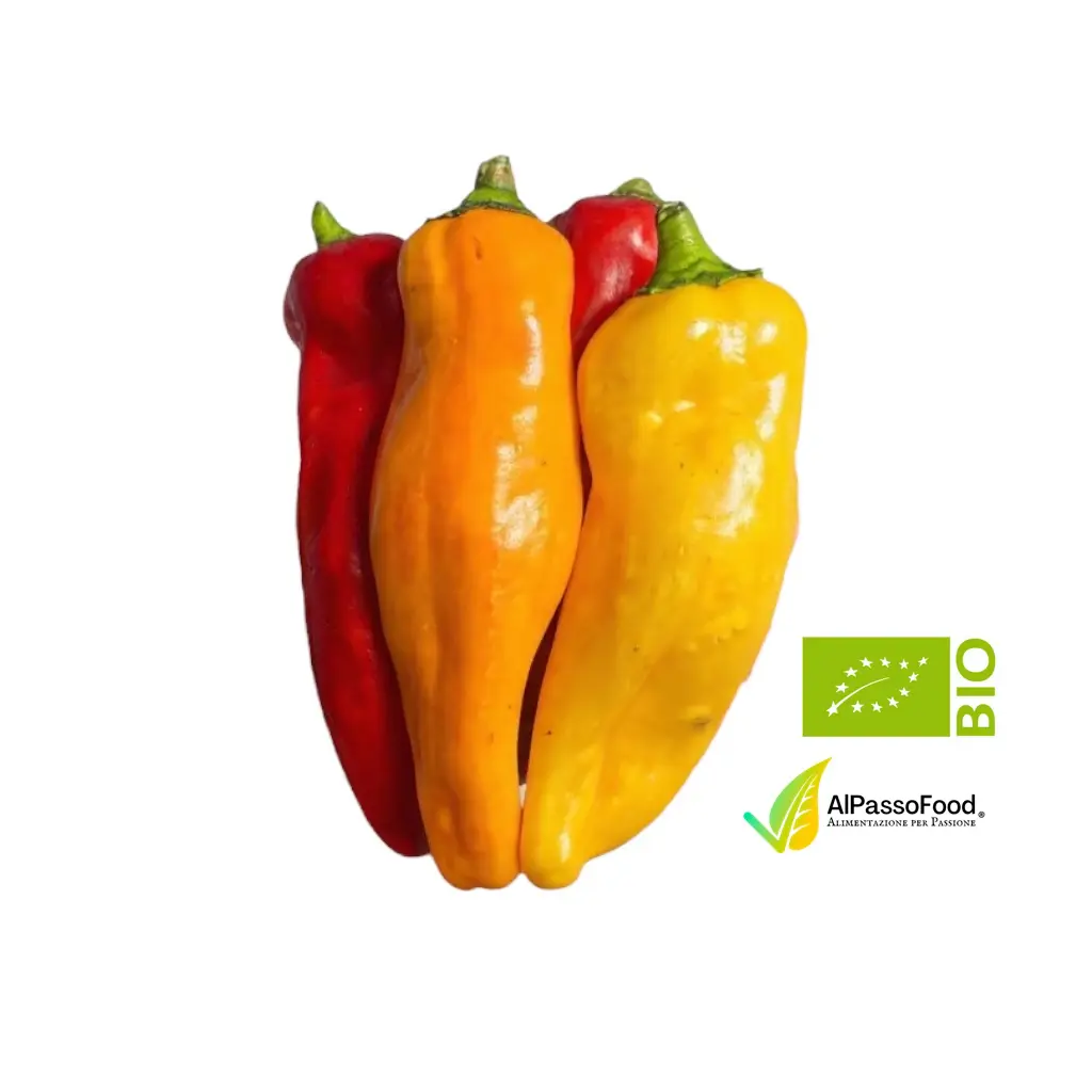 Peperone Corno Biologico
