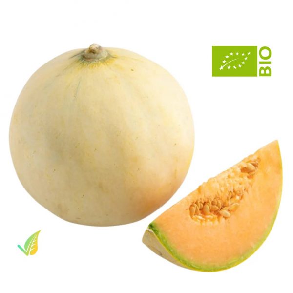 Melone Liscio Biologico