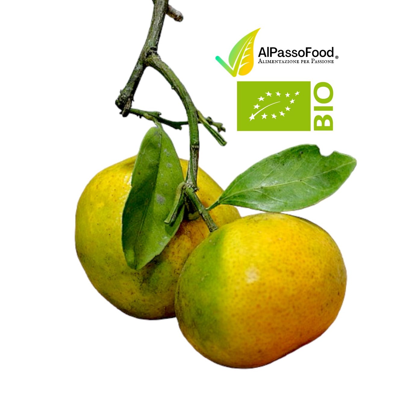 Bergamotto Biologico Calabrese