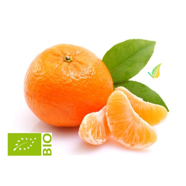 Clementine Nouru