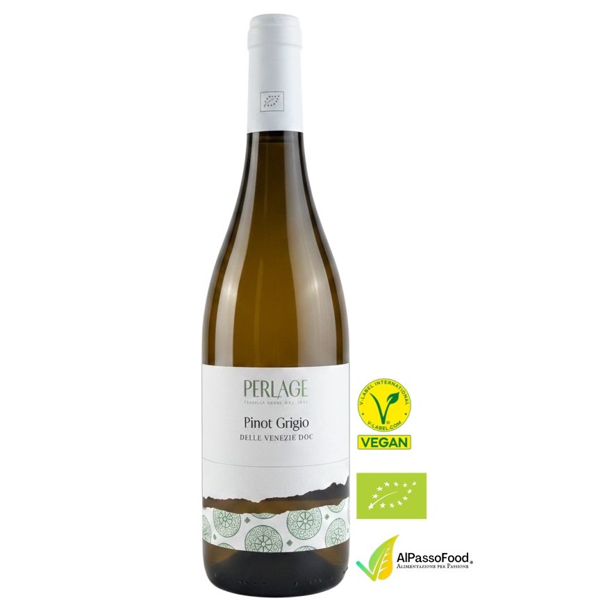 Pinot Grigio DOC Biologico