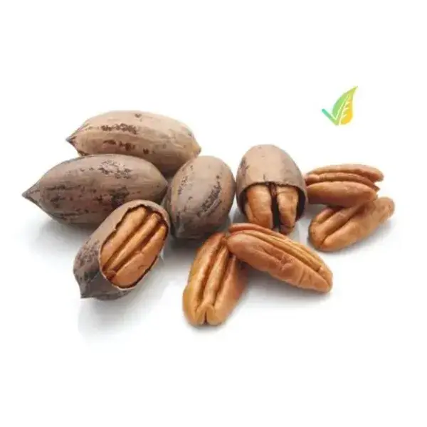 noce pecan con guscio laziale