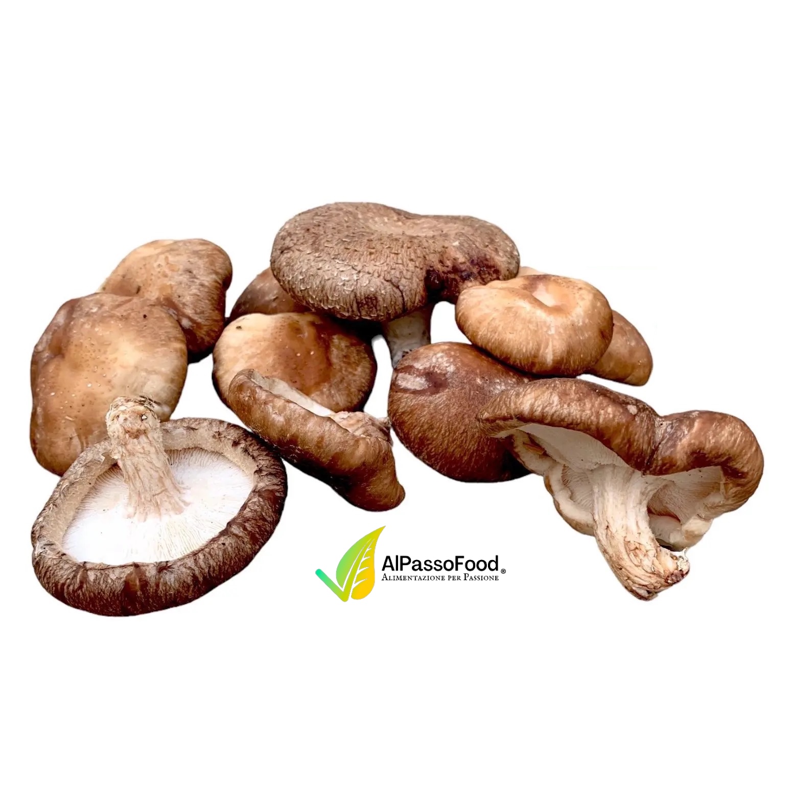 Funghi Shiitake Freschi