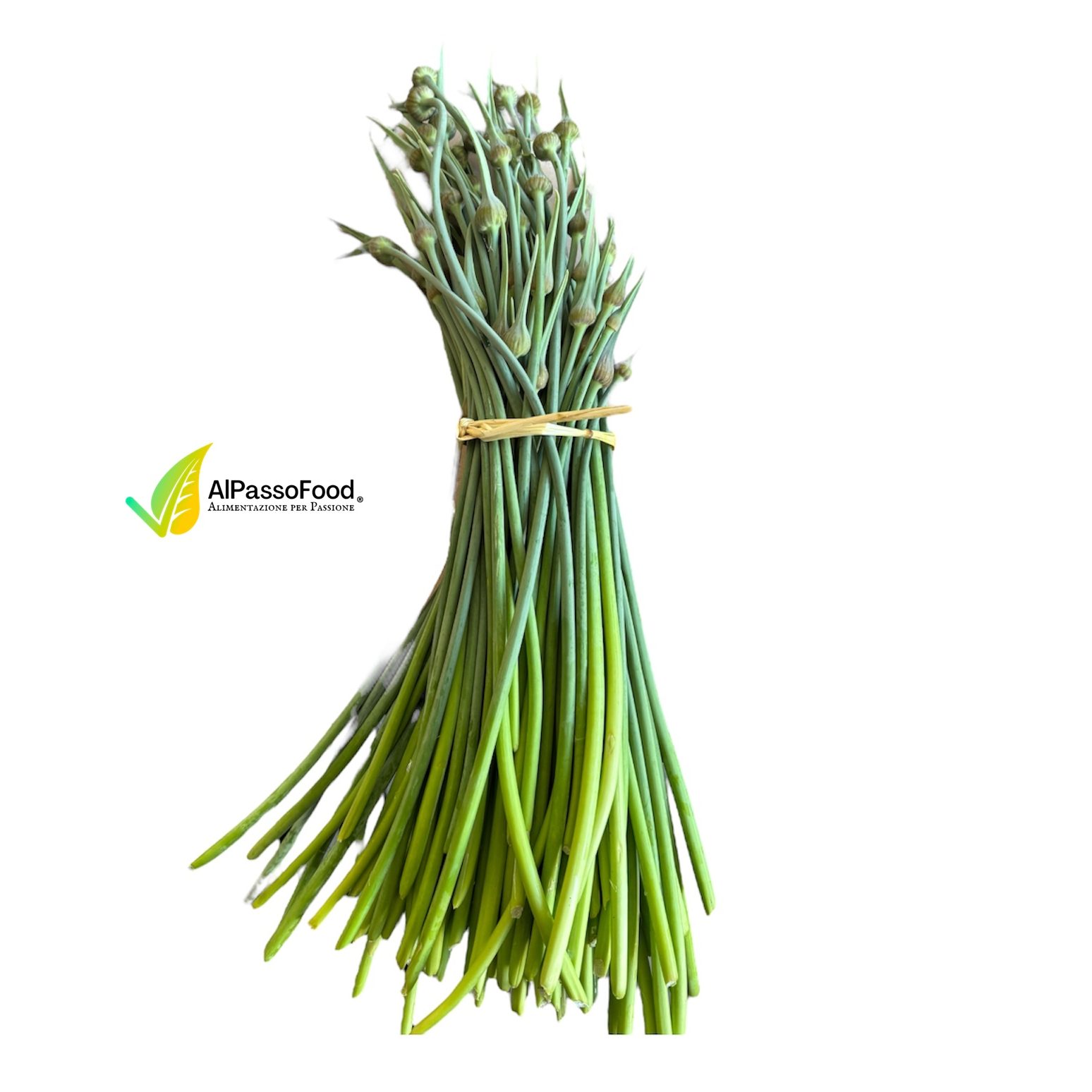 Talli di Aglione Toscano della Val di Chiana 100g
