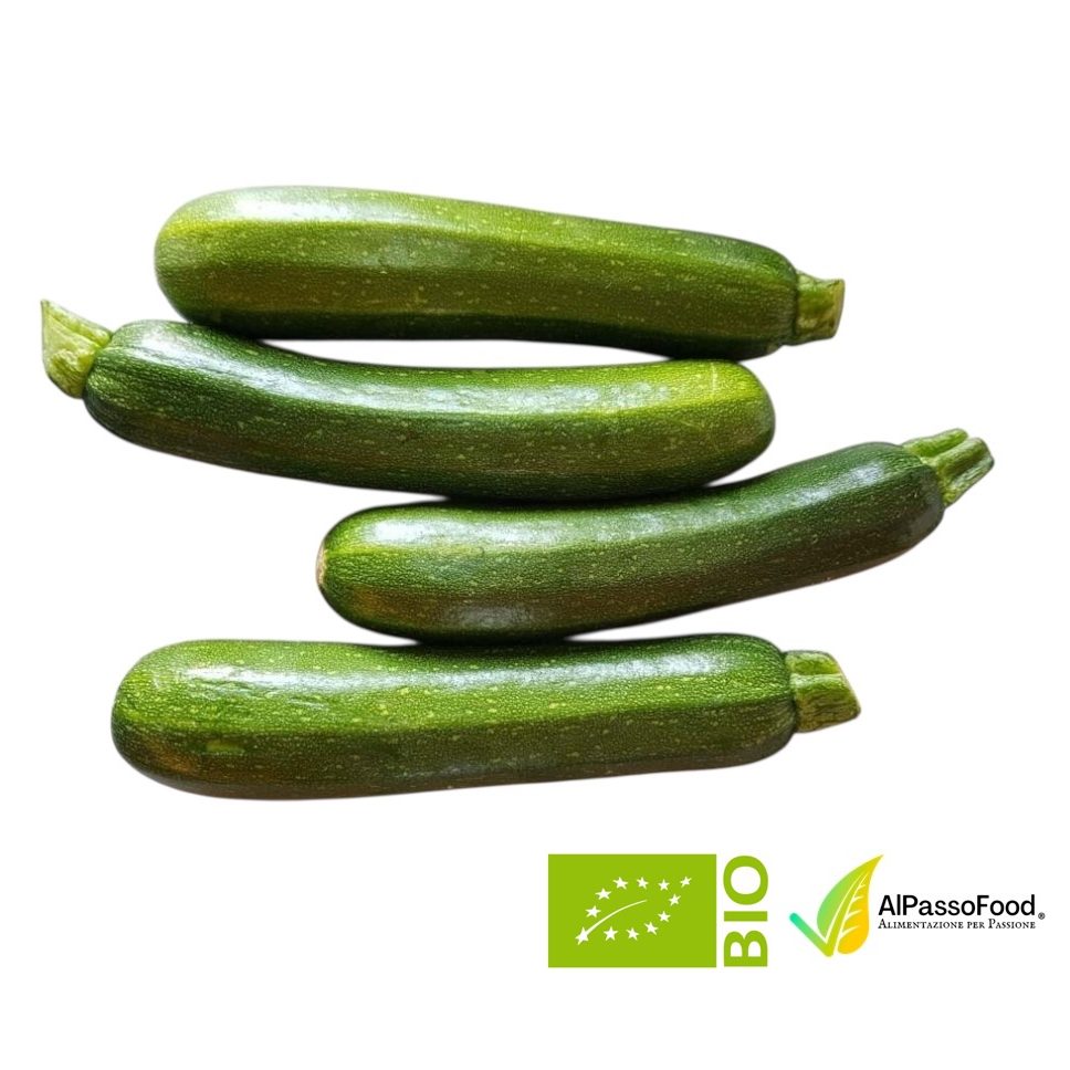 Zucchina Verde biologica