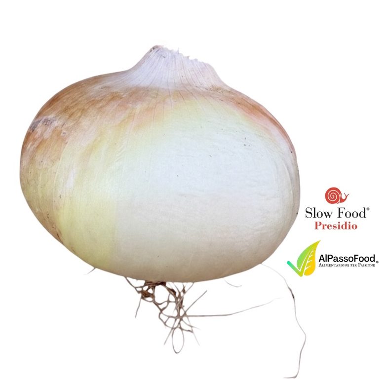 Cipolla di Giarratana Slow Food
