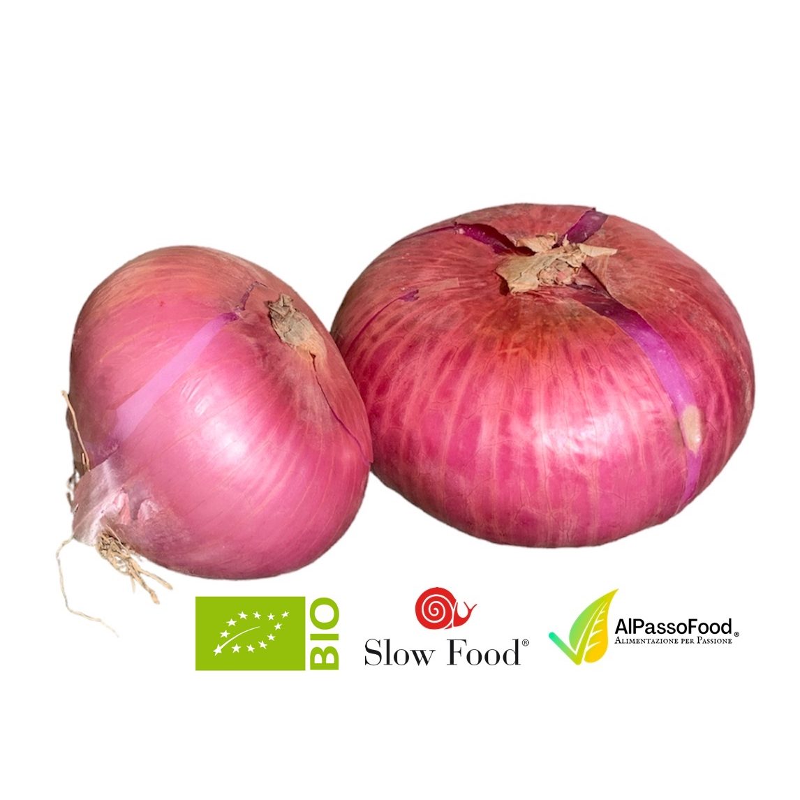 Cipolla Rossa di Breme Slow Food®