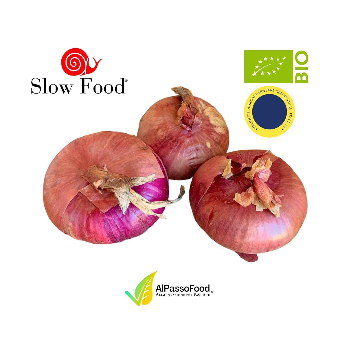Oignon Rouge de Cavasso New Organic Slow Food®