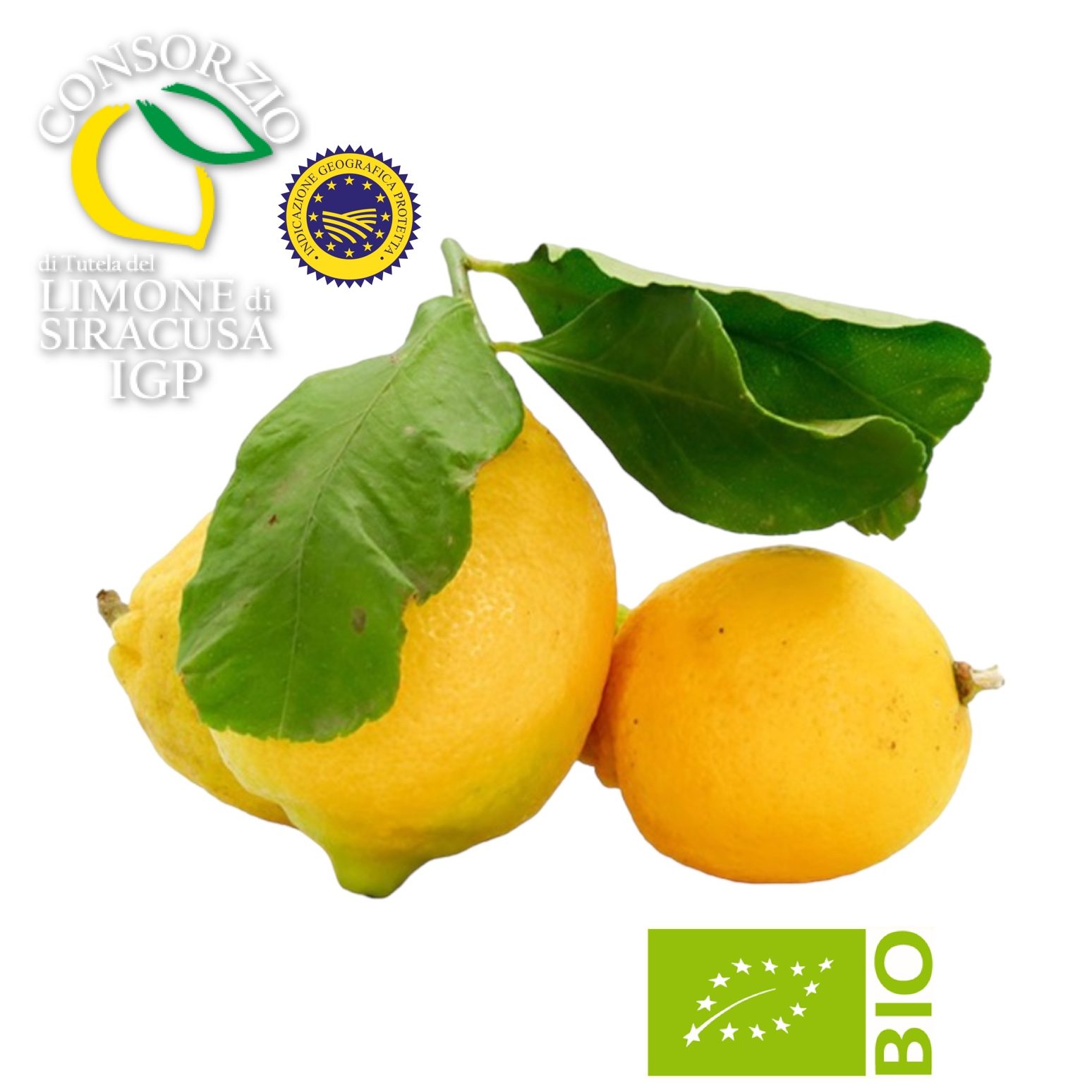 Limone Femminello Siracusano IGP Biologico