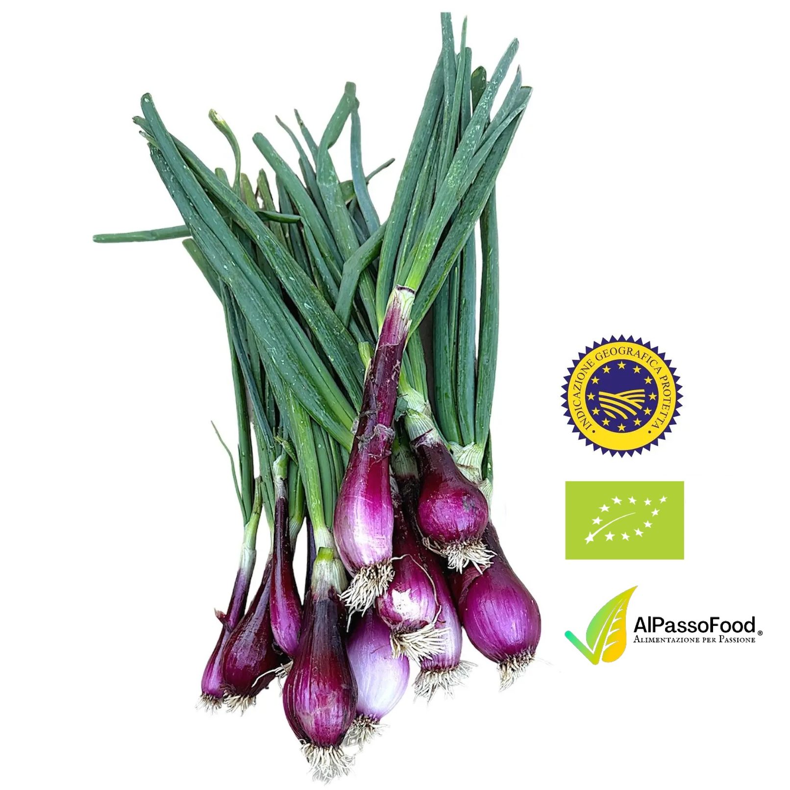 Cipolla Rossa di Tropea Fresca IGP Biologica