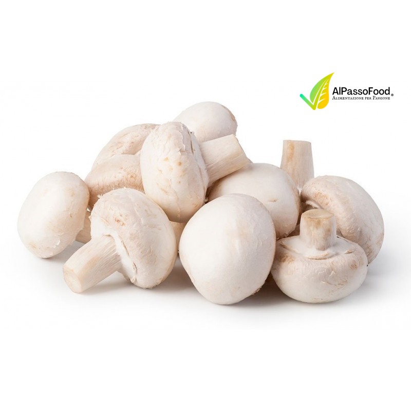 Funghi Champignon Freschi Laziali