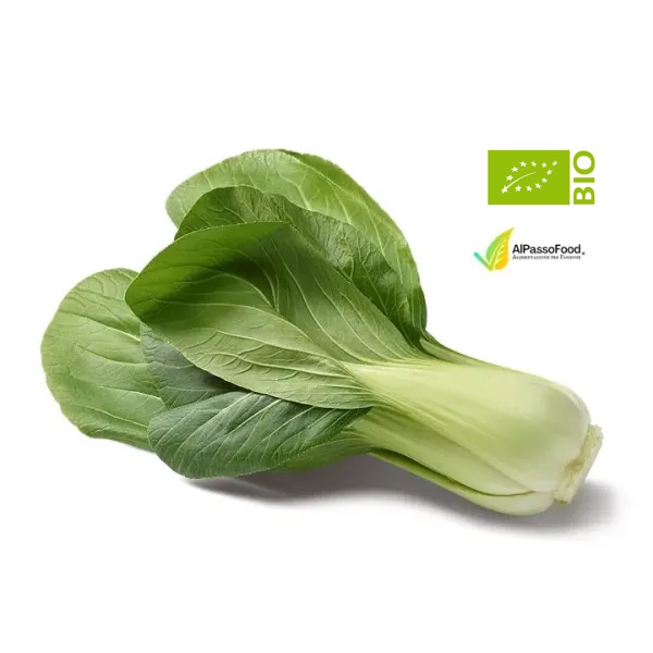 Pak Choi Biologico
